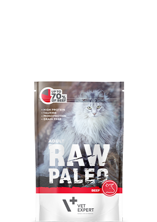 Cat food package labeled 'Raw Paleo' by Vet Expert on a white background