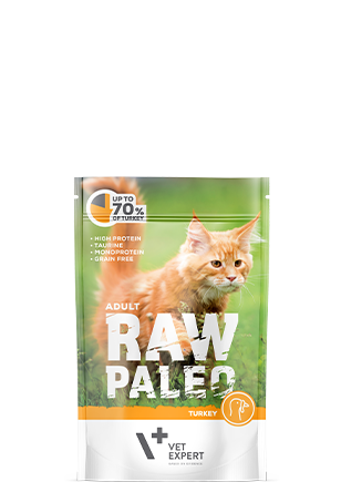 Cat food package labeled 'Raw Paleo' by Vet Expert on a white background