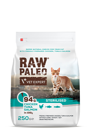 Bag of Raw Paleo Vet Expert cat food with a cat on the label