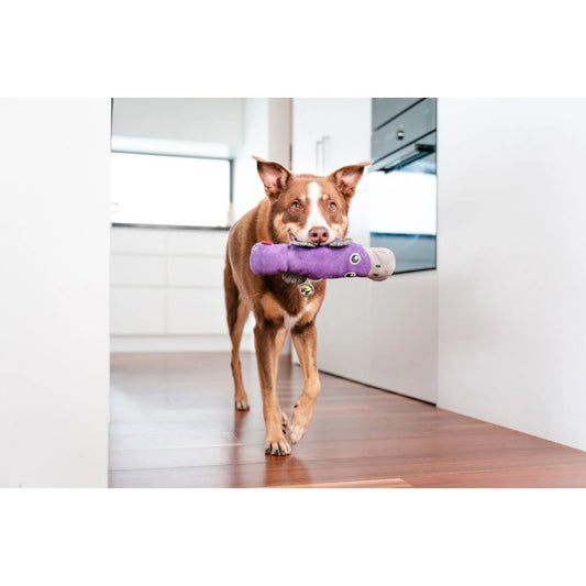 Dog holding a purple toy in a modern kitchen