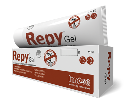 Repy Gel packaging with tube and box on a white background
