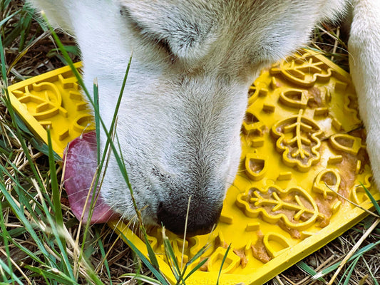 SodaPup Autumn lickimat podložak za sporo hranjenje za pse