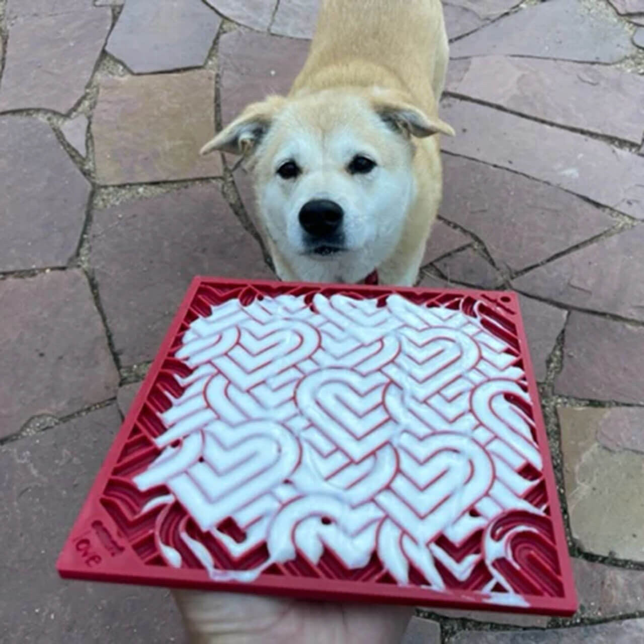 SodaPup lickimat podložak za sporo hranjenje za pse