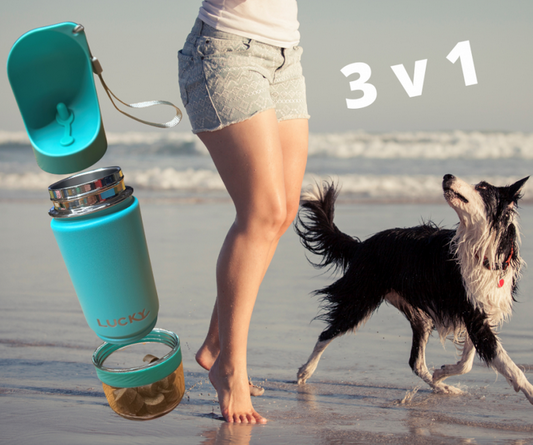 Termos boca za hranu i vodu (3 u 1) za pse za putovanja
