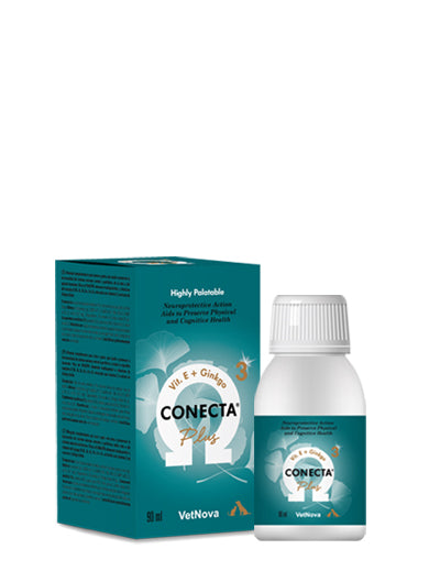 Connecta Plus Ginko Biloba i Vitamin E, za rad mozga i živčanog sustava, 90 ml