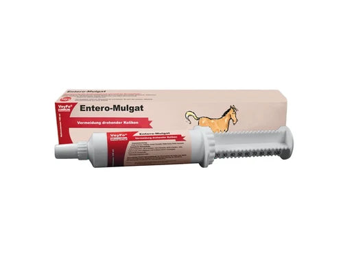 paste with aplicator against colics in horses