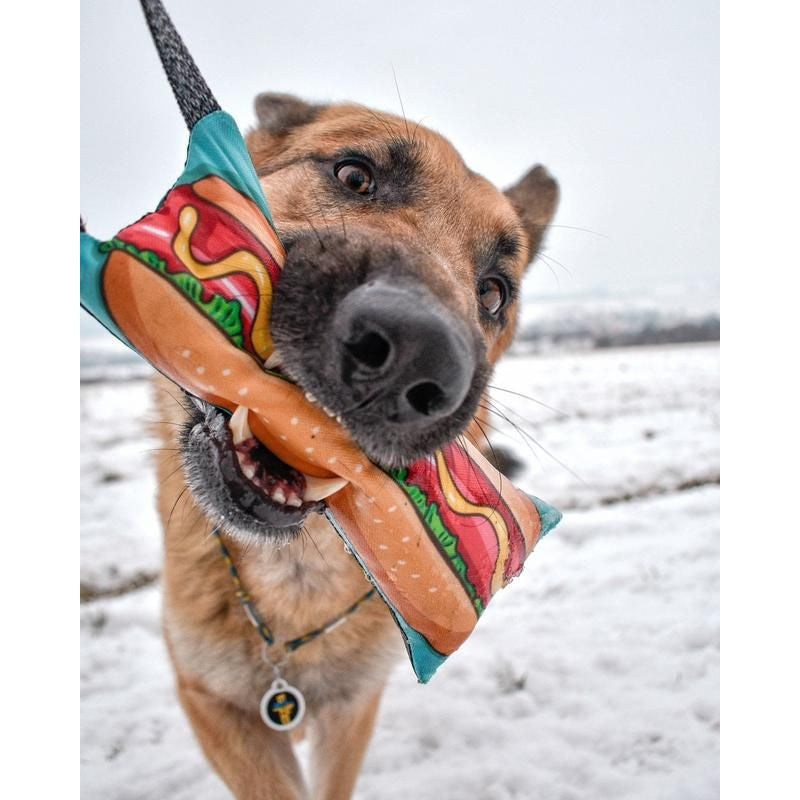 Dog holding a colorful hot dog toy in a snowy landscape