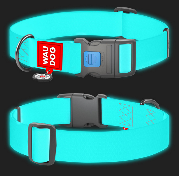 Turquoise dog collar with a black buckle and Wau Dog label on a black background