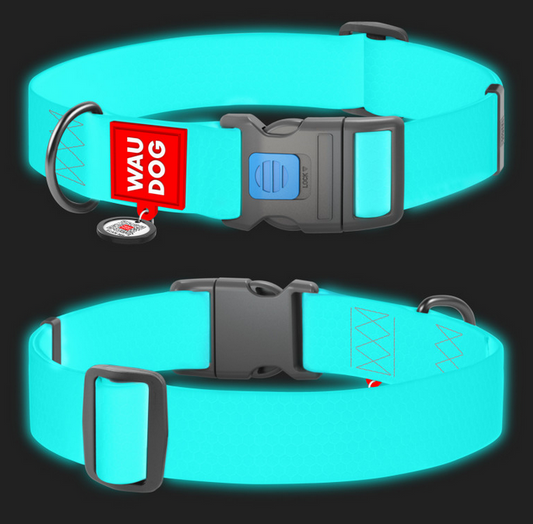 Turquoise dog collar with a black buckle and Wau Dog label on a black background