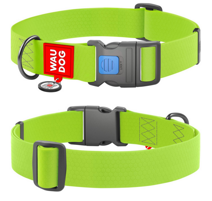 Green dog collar with a red 'Wau Dog' label on a white background